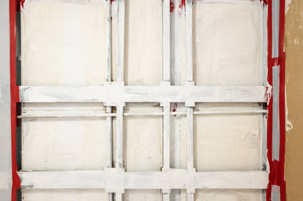 Best Post-Construction Mold Inspection  in Gypsum, CO