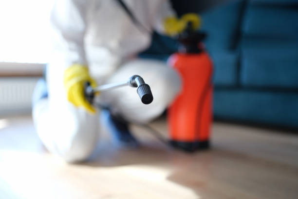 Best Crawl Space Mold Remediation  in Gypsum, CO